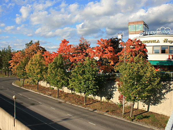 Sillankorvankatua
